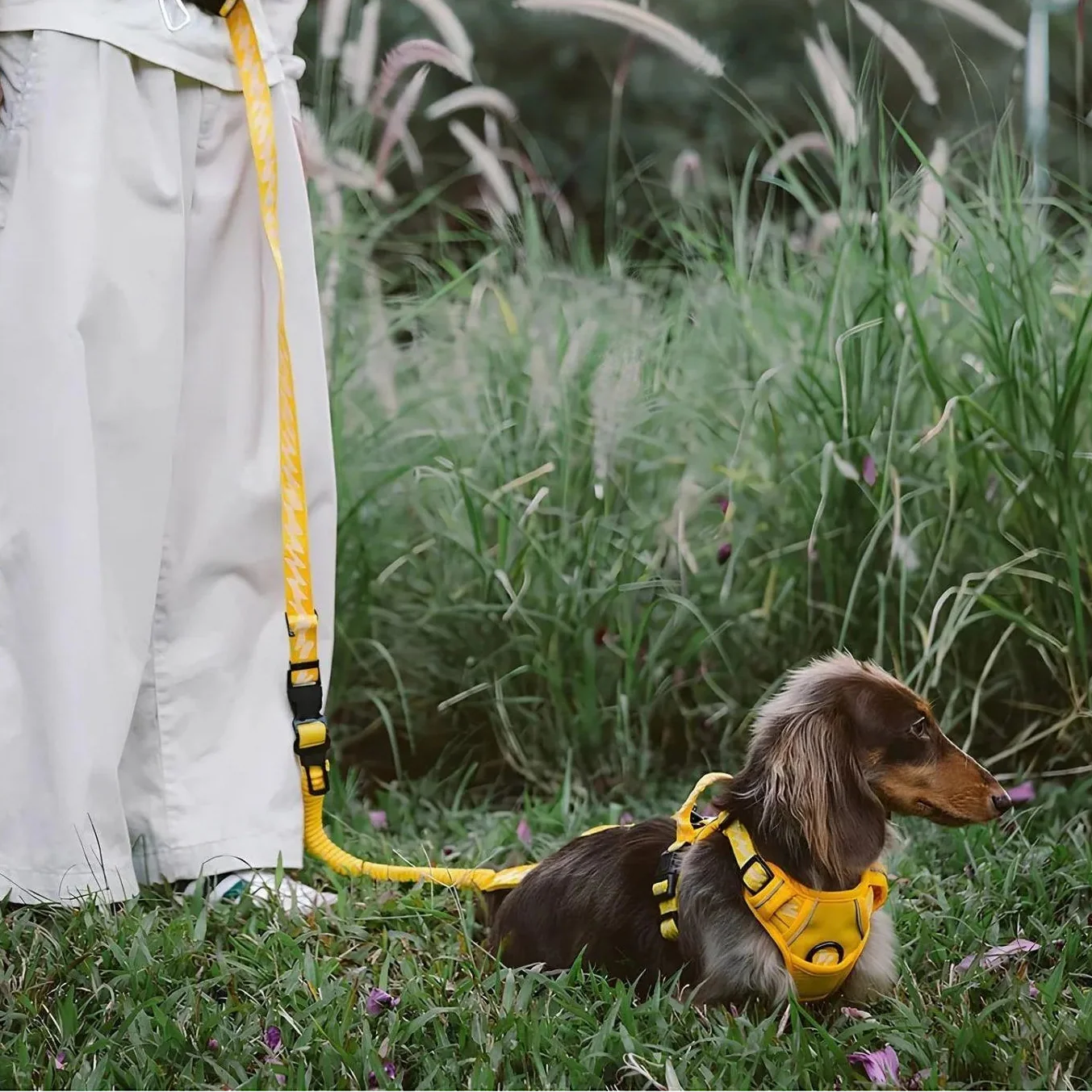 ReflectaWalk Lead | Duurzame Dubbelzijdige Riem voor Grote Honden - Image 7