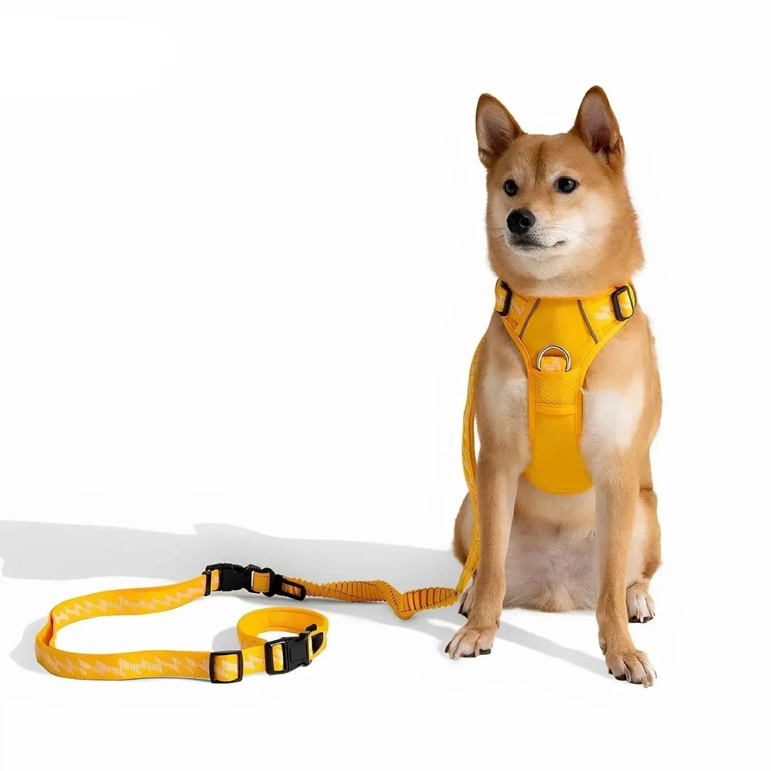 ReflectaWalk Lead | Duurzame Dubbelzijdige Riem voor Grote Honden - Image 8