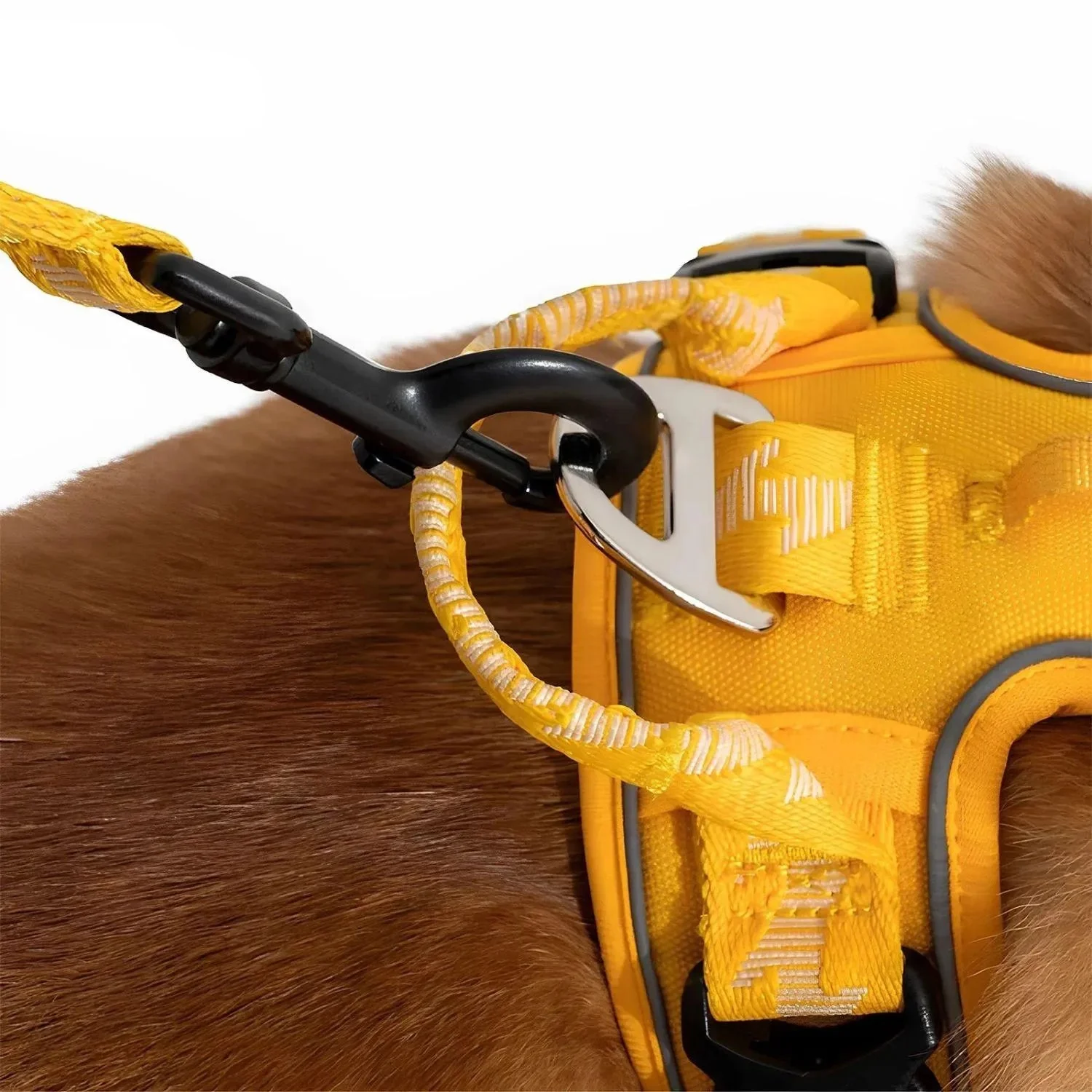 ReflectaWalk Lead | Duurzame Dubbelzijdige Riem voor Grote Honden - Image 9