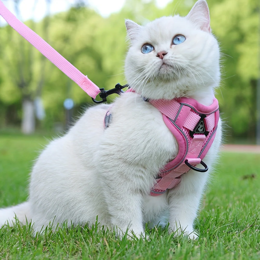 Reflecterend kattenharnas met riem | Ademend mesh materiaal | Verstelbaar ontwerp | Voor training en wandelen | Extra zichtbaarheid in het donker | Geschikt voor alle kattenmaten - Image 14