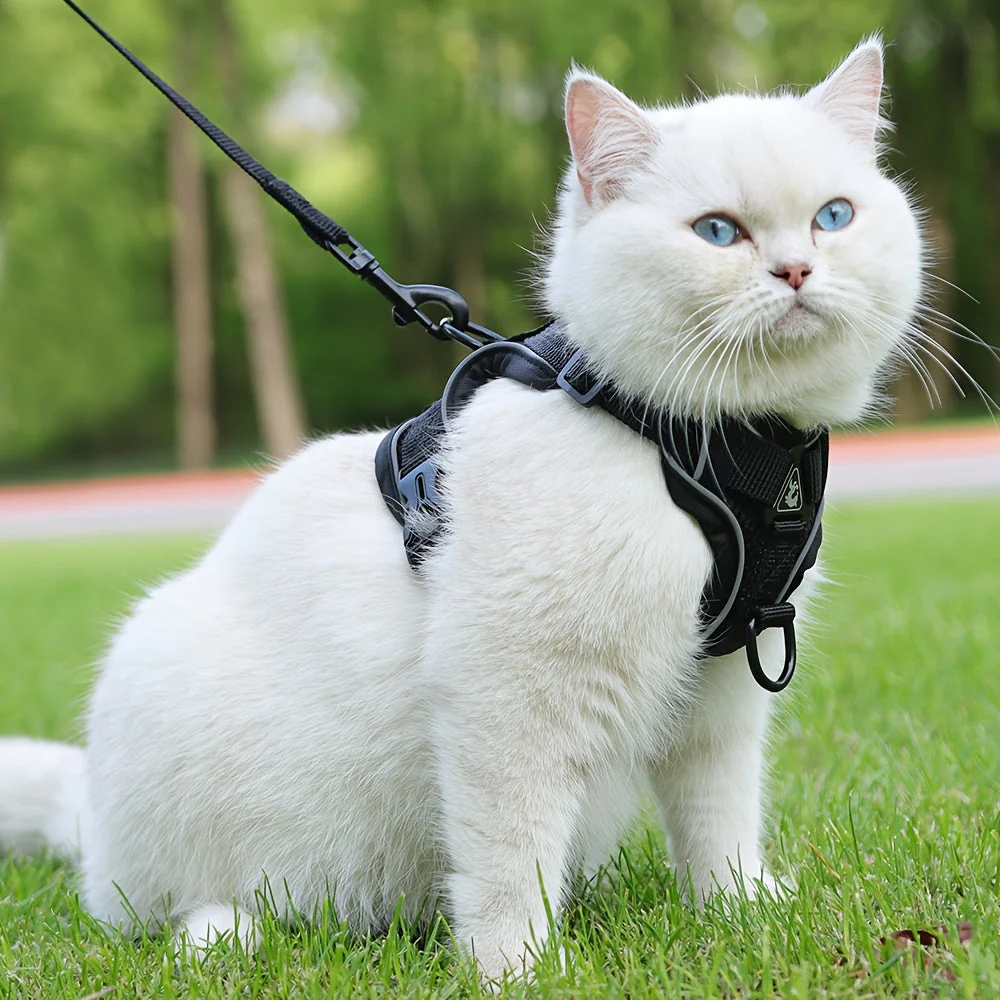 Reflecterend kattenharnas met riem | Ademend mesh materiaal | Verstelbaar ontwerp | Voor training en wandelen | Extra zichtbaarheid in het donker | Geschikt voor alle kattenmaten - Image 16
