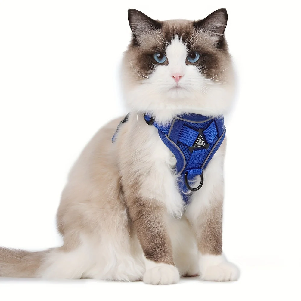 Reflecterend kattenharnas met riem | Ademend mesh materiaal | Verstelbaar ontwerp | Voor training en wandelen | Extra zichtbaarheid in het donker | Geschikt voor alle kattenmaten - Image 18
