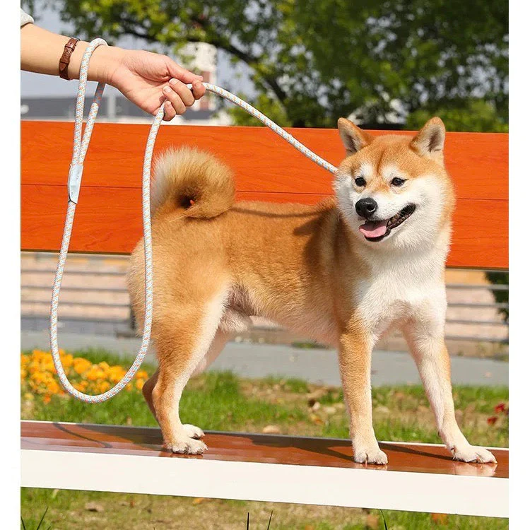 Reflecterende Veiligheidsriem | Verstelbaar en Duurzaam | Voor Middelgrote en Grote Honden | Comfortabel No-Pull Design | Nylon | Verschillende Kleuren | Perfect voor Nachtelijke Wandelingen - Image 4