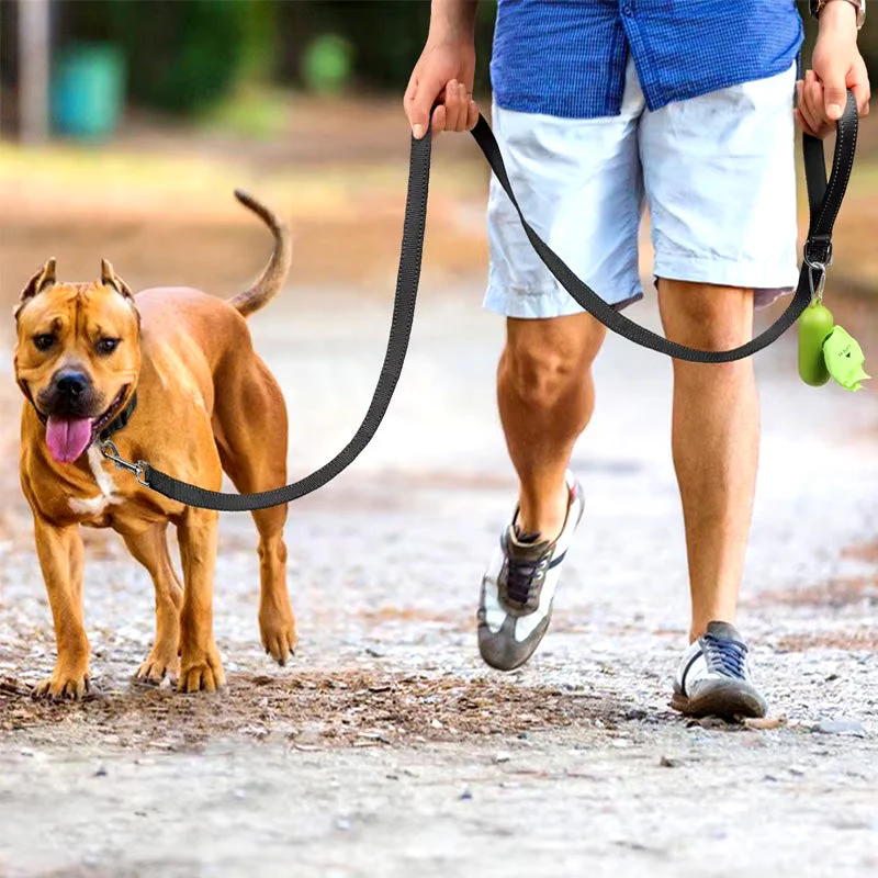 Veilige Reflecterende Riem met Comfortabele Handgreep voor Honden | Duurzaam Polyester | Geschikt voor Alle Weersomstandigheden - Image 3