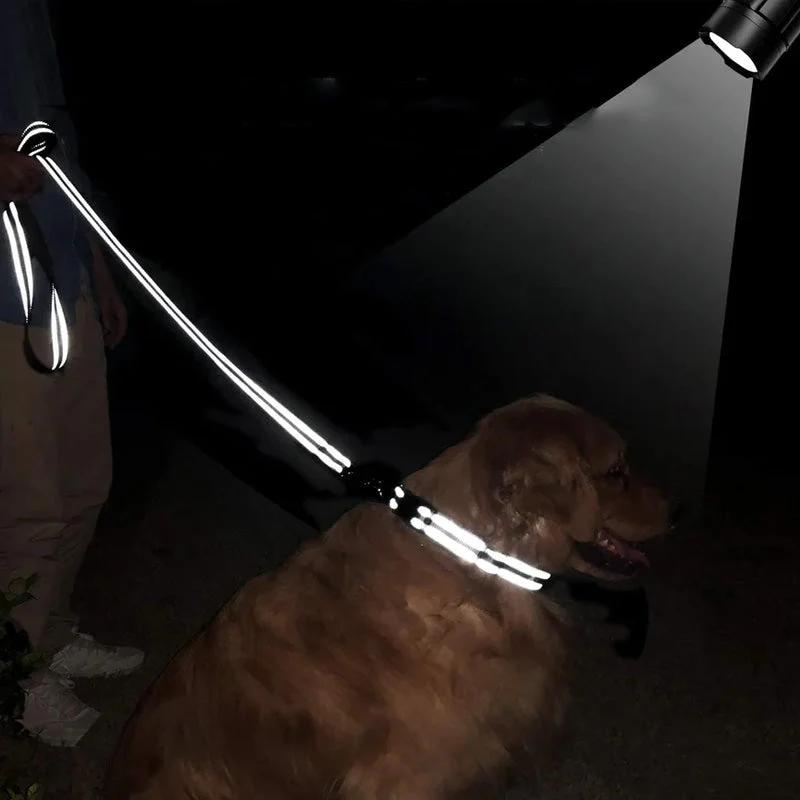 Veilige Reflecterende Riem met Comfortabele Handgreep voor Honden | Duurzaam Polyester | Geschikt voor Alle Weersomstandigheden - Image 4