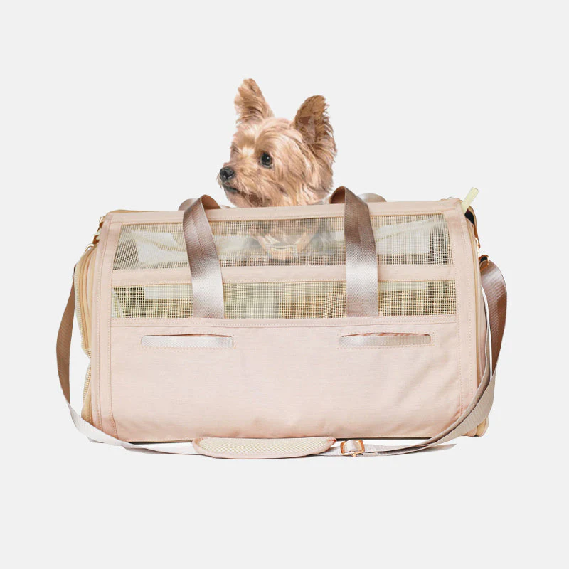 Lili | Draagbare Comfortabele Huisdierenreistas voor Kleine Honden - Image 4