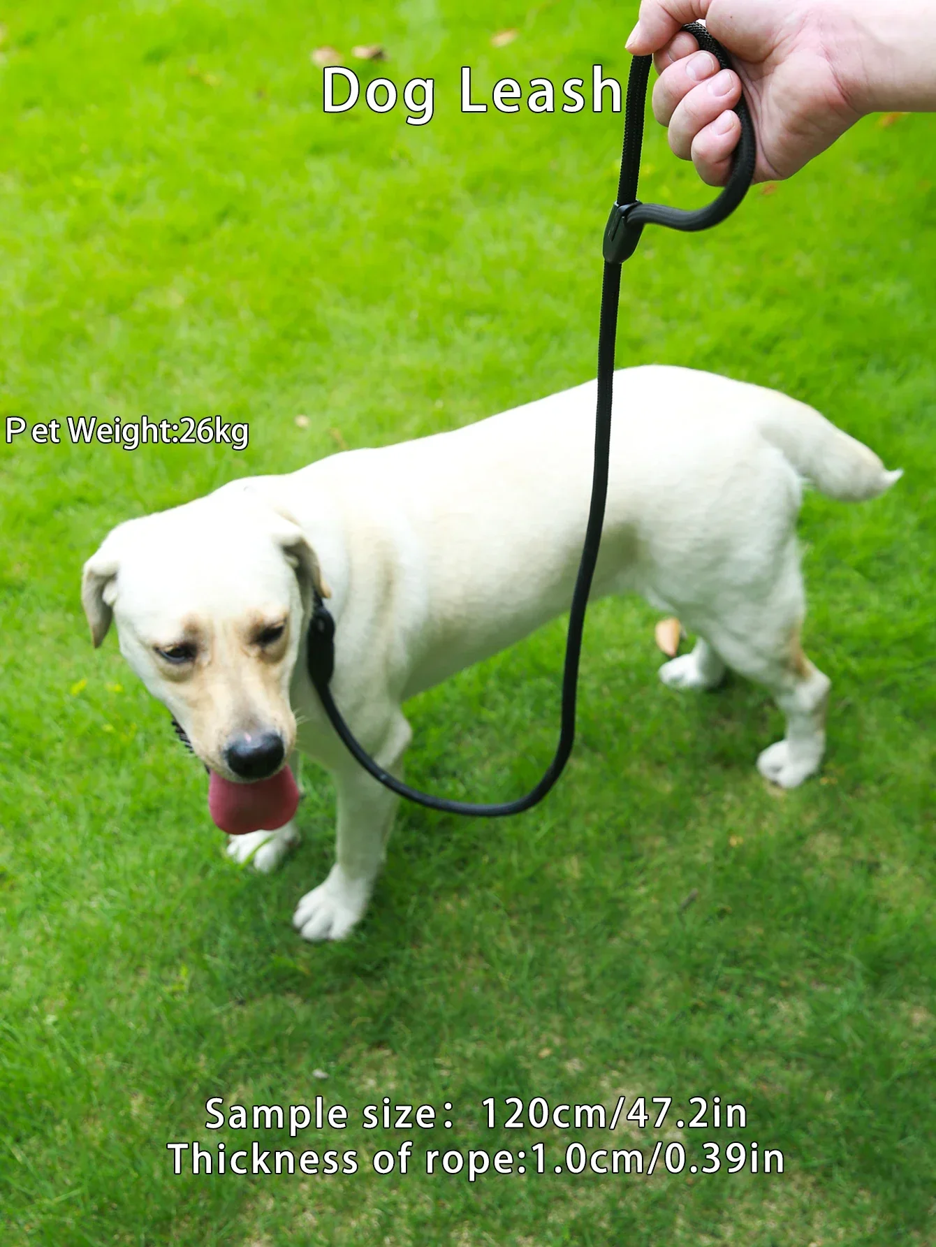Reflecterende Polyesterriem voor Honden | Veiligheid en Stijl voor Nachtelijke Wandelingen | 120 cm | Geschikt voor Kleine tot Grote Honden | Robuust en Duurzaam | Zwart - Image 2