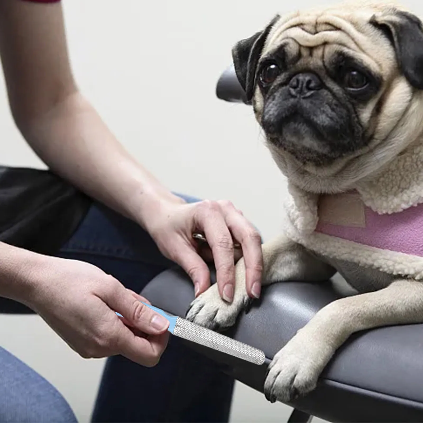 Roestvrijstalen Klauwverzorgingstool voor Huisdieren | Driekleurig Vijlsysteem voor Veilige Nagelverzorging | Geschikt voor Katten en Honden van Alle Groottes - Image 3