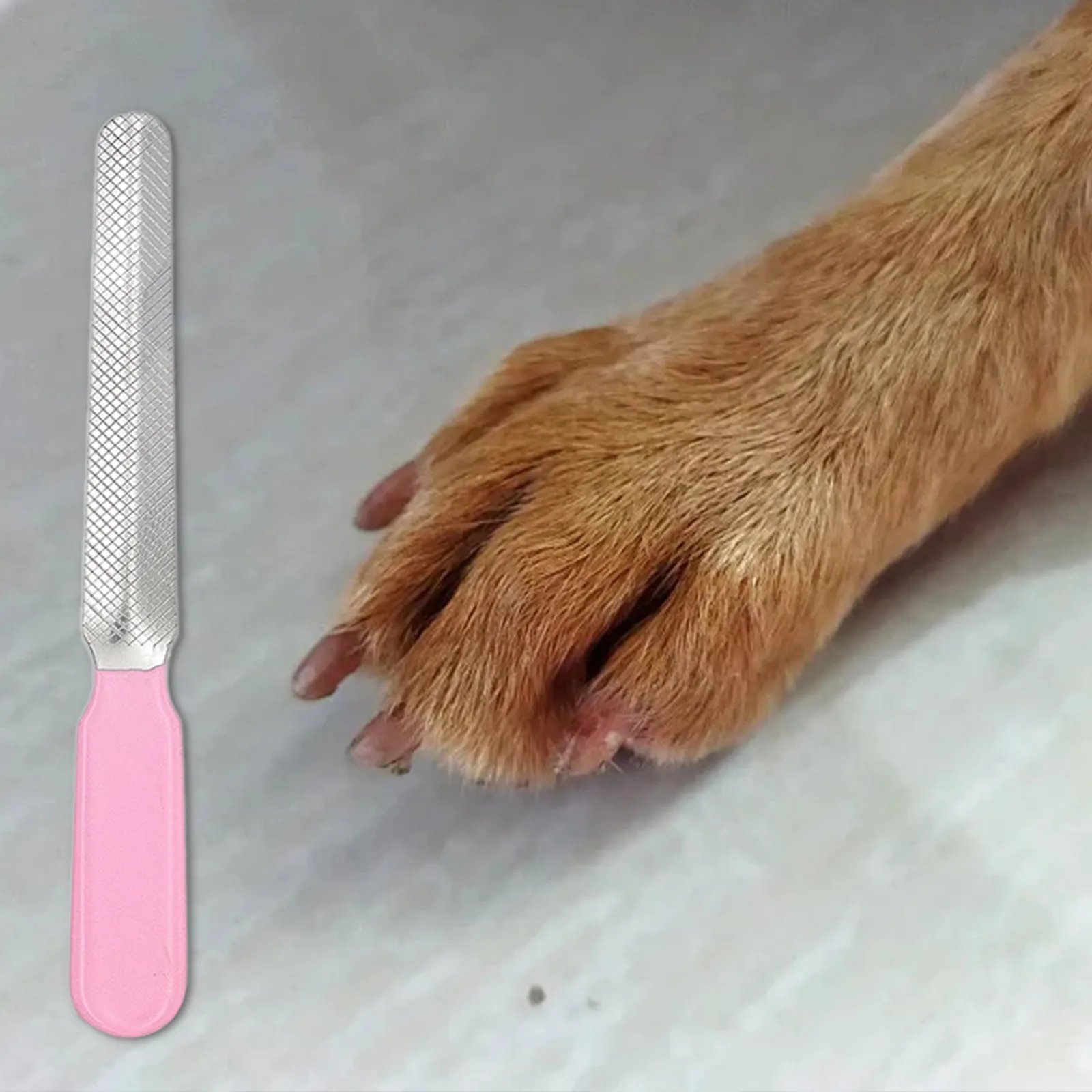 Roestvrijstalen Klauwverzorgingstool voor Huisdieren | Driekleurig Vijlsysteem voor Veilige Nagelverzorging | Geschikt voor Katten en Honden van Alle Groottes - Image 6