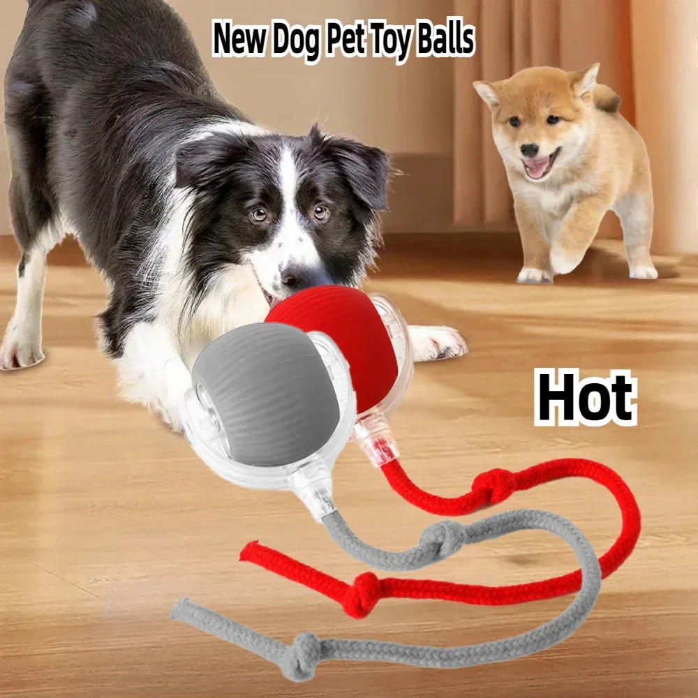Interactieve Speelbal voor Katten en Honden | Automatisch en Oplaadbaar met Obstakelontwijking | Duurzaam en Geluidloos Design - Image 2