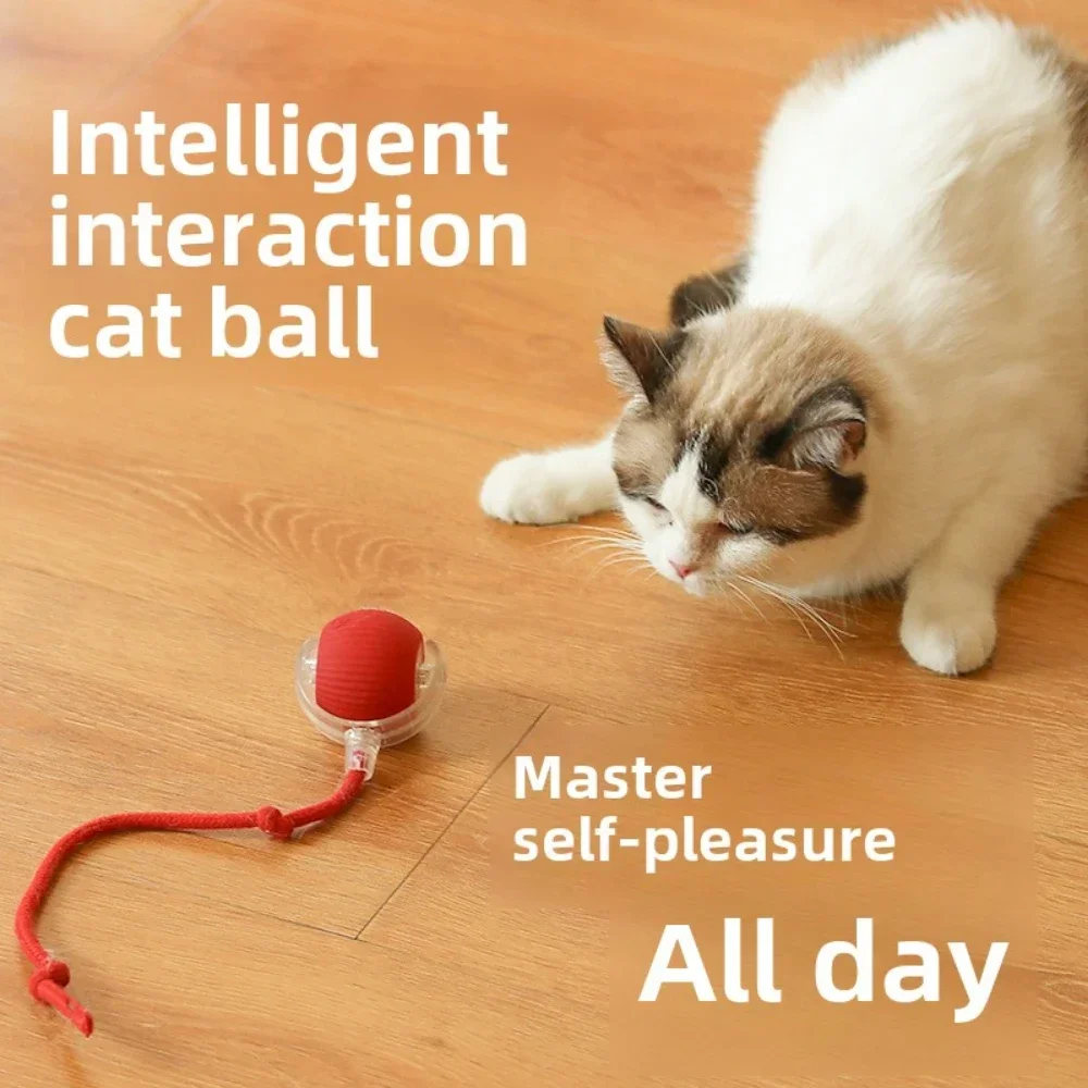 Interactieve Speelbal voor Katten en Honden | Automatisch en Oplaadbaar met Obstakelontwijking | Duurzaam en Geluidloos Design - Image 4