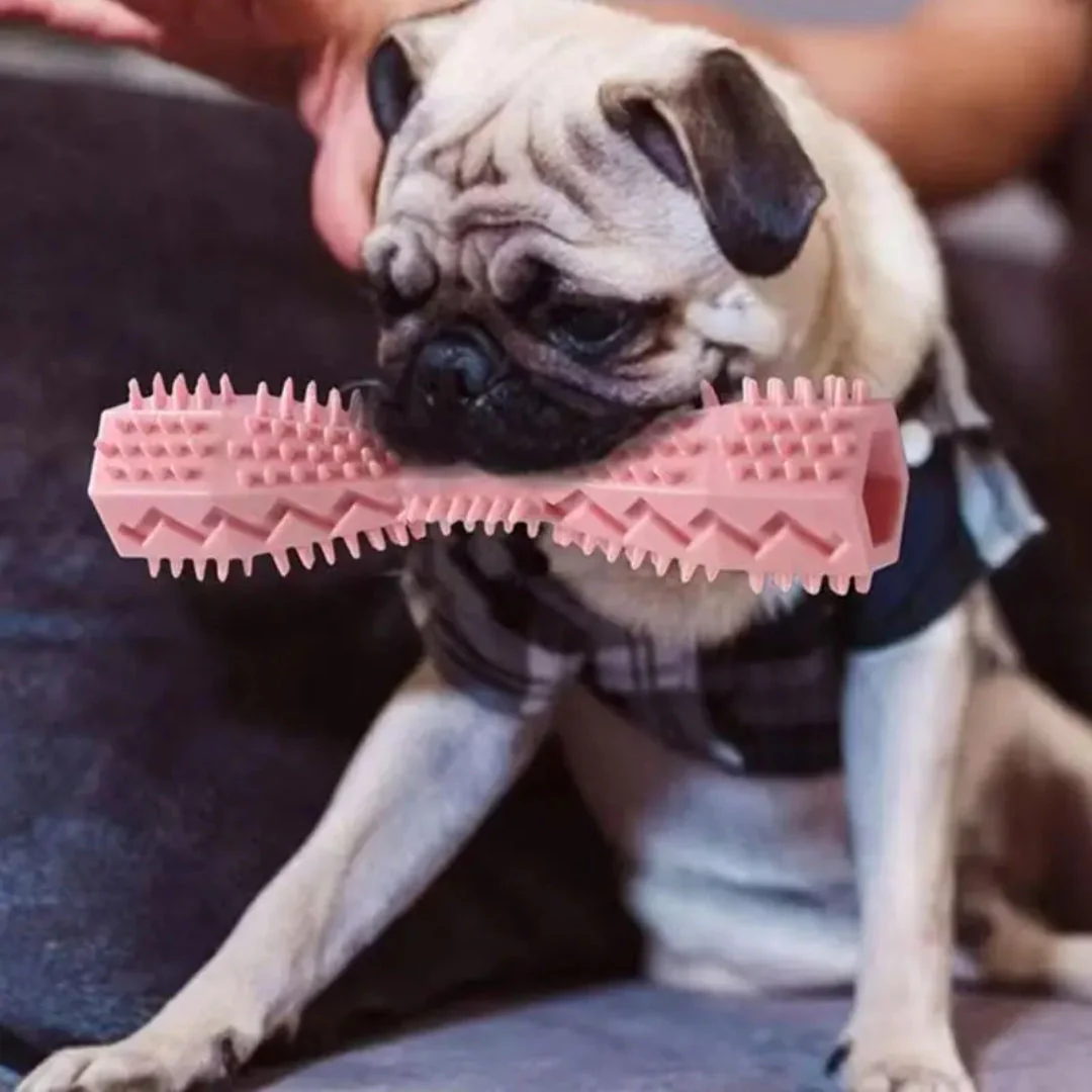 Duurzaam Rubberen Kauwspeeltje voor Honden | Effectieve Gebitsreiniging | Tandvleesmassage | Interactief Ontwerp | Verkrijgbaar in Blauw, Groen en Roze | Veilig en Stimulerend - Image 8