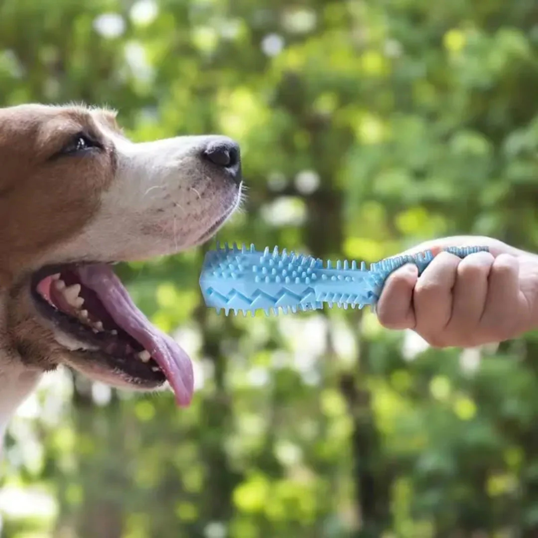 Duurzaam Rubberen Kauwspeeltje voor Honden | Effectieve Gebitsreiniging | Tandvleesmassage | Interactief Ontwerp | Verkrijgbaar in Blauw, Groen en Roze | Veilig en Stimulerend - Image 9