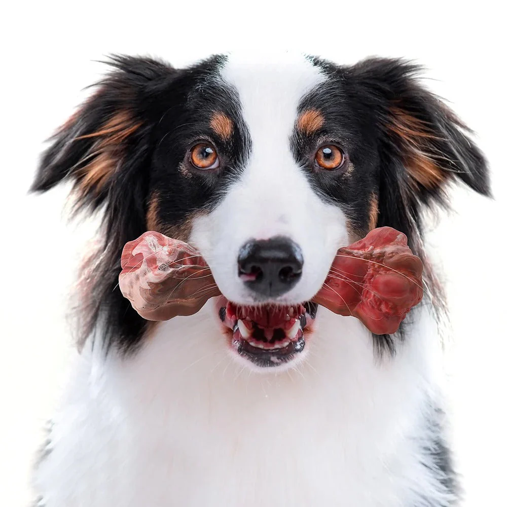Rubberen Kauwspeeltje voor Honden | Tandenborstelfunctie | Met Traktatiehouder | Voor Schone Tanden en Gezond Tandvlees | Rood | 15 cm - Image 2
