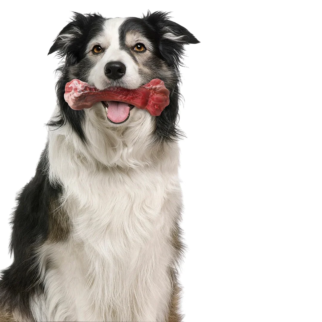 Rubberen Kauwspeeltje voor Honden | Tandenborstelfunctie | Met Traktatiehouder | Voor Schone Tanden en Gezond Tandvlees | Rood | 15 cm - Image 3