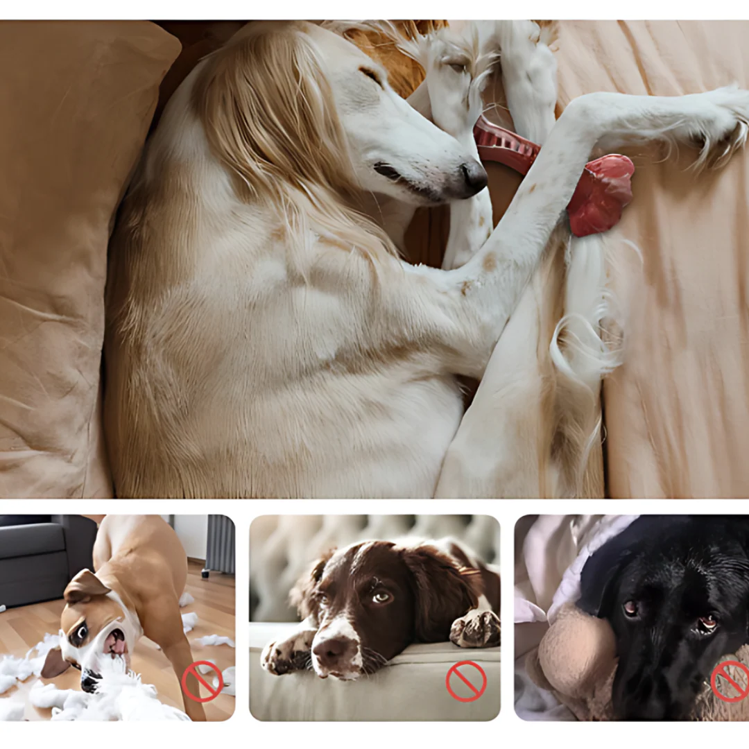 Rubberen Kauwspeeltje voor Honden | Tandenborstelfunctie | Met Traktatiehouder | Voor Schone Tanden en Gezond Tandvlees | Rood | 15 cm - Image 5