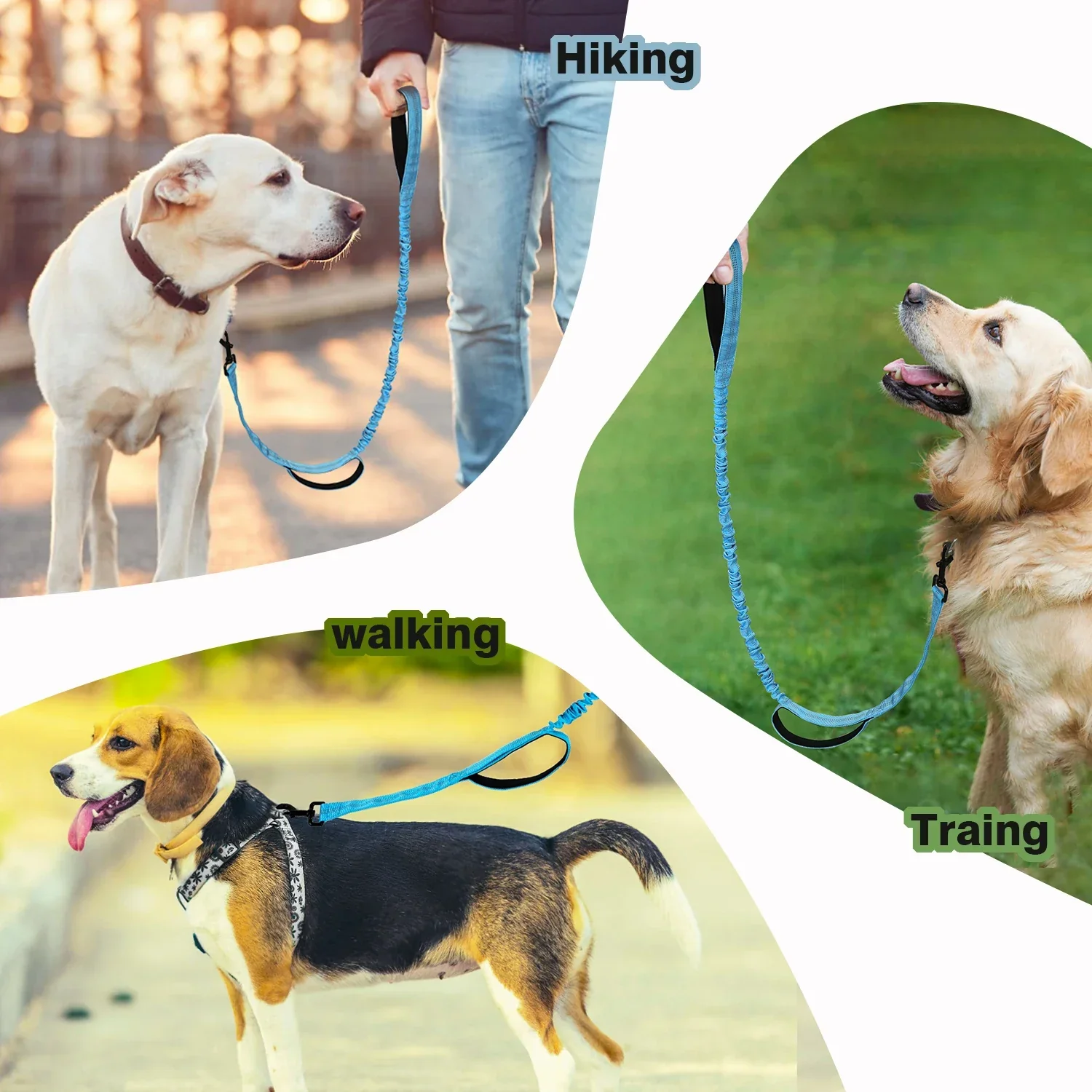 Bungee Hondenriem met Schokdemping en Dubbele Handvatten voor Comfortabele Training en Wandelingen | Geschikt voor Alle Hondengroottes - Image 6