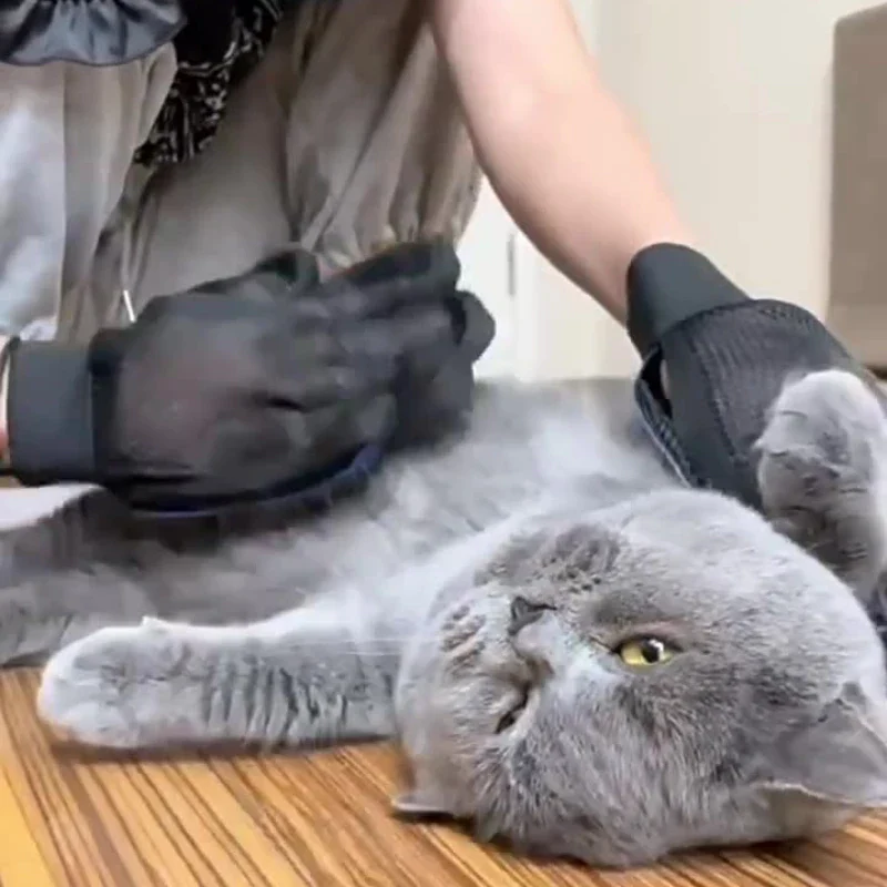 Siliconen Verzorgingshandschoenen voor Honden en Katten | Massage en Haarverwijdering | Ademend en Met Verstelbare Klittenbandsluiting | Beschikbaar in Rood, Groen, Blauw - Image 6