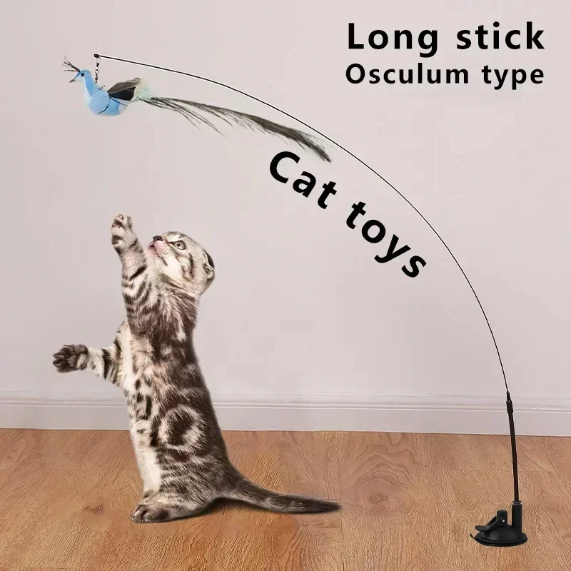 Kattenspeelgoed | Interactieve Pauwenpluim Met Bel | Kunststof Verenstok | Kattenstok | Speeltjes Voor Kittens En Katten | Huisdierbenodigdheden | Veilig En Duurzaam | Simulatie Vogelmotief | Indoor Plezier