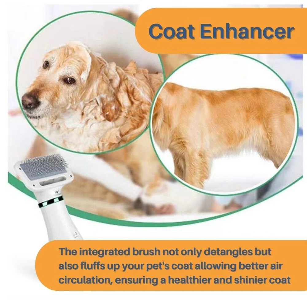 VelvetPaws QuickDry Styler | Stilte Technologie | 2-in-1 Droger en Borstel | Verstelbare Warmte | Huisdier Vachtverzorging | Ontwikkeld voor Comfort en Knuffels | Stressvrije Ervaring - Image 13
