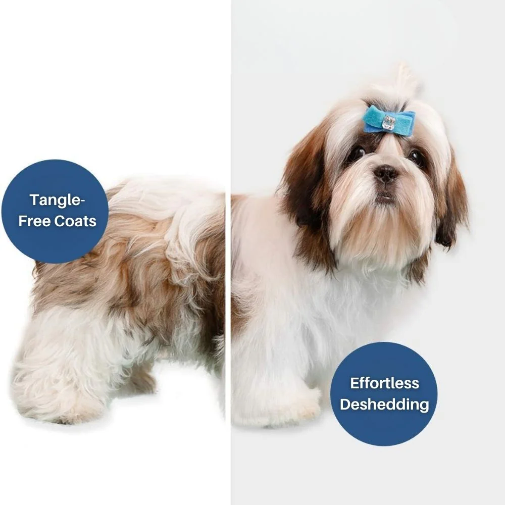 VelvetPaws QuickDry Styler | Stilte Technologie | 2-in-1 Droger en Borstel | Verstelbare Warmte | Huisdier Vachtverzorging | Ontwikkeld voor Comfort en Knuffels | Stressvrije Ervaring - Image 5
