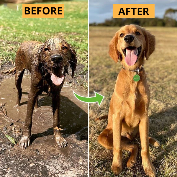 StressFree Hondendouche™ | Gemakkelijke en Efficiënte Reiniging voor Jouw Hond | Zachte Waterstraal en Shampoedispenser | Ideaal voor Alle Hondenmaten - Image 5