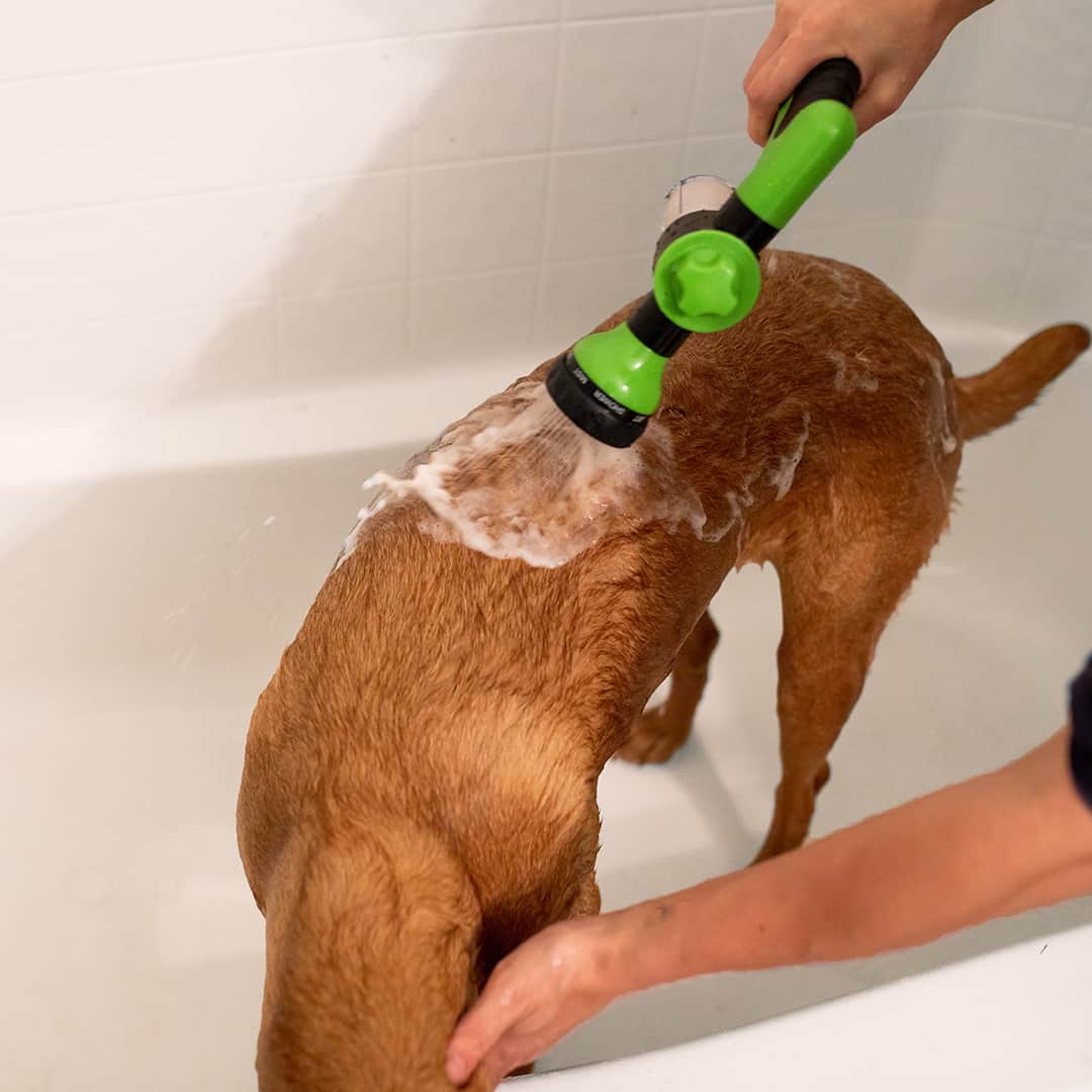 StressFree Hondendouche™ | Gemakkelijke en Efficiënte Reiniging voor Jouw Hond | Zachte Waterstraal en Shampoedispenser | Ideaal voor Alle Hondenmaten - Image 6