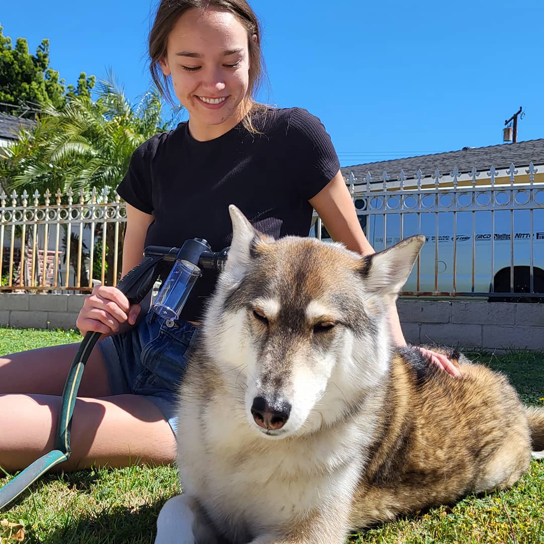 StressFree Hondendouche™ | Gemakkelijke en Efficiënte Reiniging voor Jouw Hond | Zachte Waterstraal en Shampoedispenser | Ideaal voor Alle Hondenmaten - Image 7