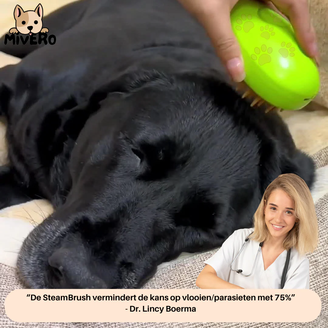 SteamBrush™ voor Huisdieren | Hydraterende Vachtverzorging met Stoom en Massage | Verminder Stress en Versterk de Band - Image 2