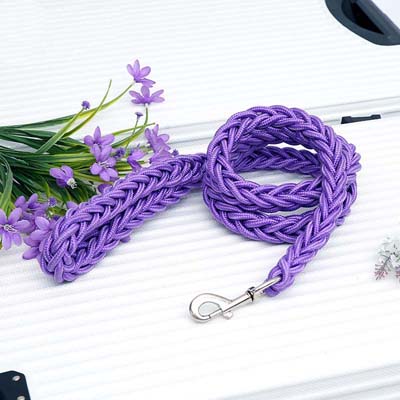 Duurzame Gevlochten Nylon Hondenlijn | Veilige Gesp | Meerdere Kleuren en Maten | Sterke Grip | Voor Middelgrote en Grote Honden - Image 10