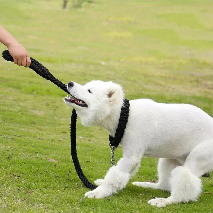 Duurzame Gevlochten Nylon Hondenlijn | Veilige Gesp | Meerdere Kleuren en Maten | Sterke Grip | Voor Middelgrote en Grote Honden - Image 3
