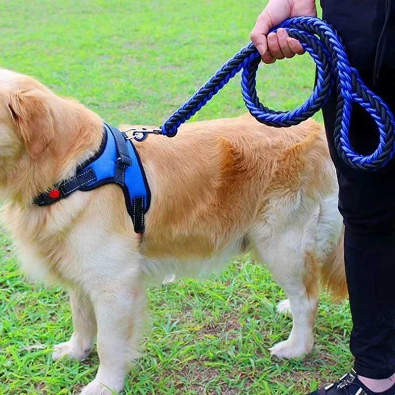 Duurzame Gevlochten Nylon Hondenlijn | Veilige Gesp | Meerdere Kleuren en Maten | Sterke Grip | Voor Middelgrote en Grote Honden - Image 4