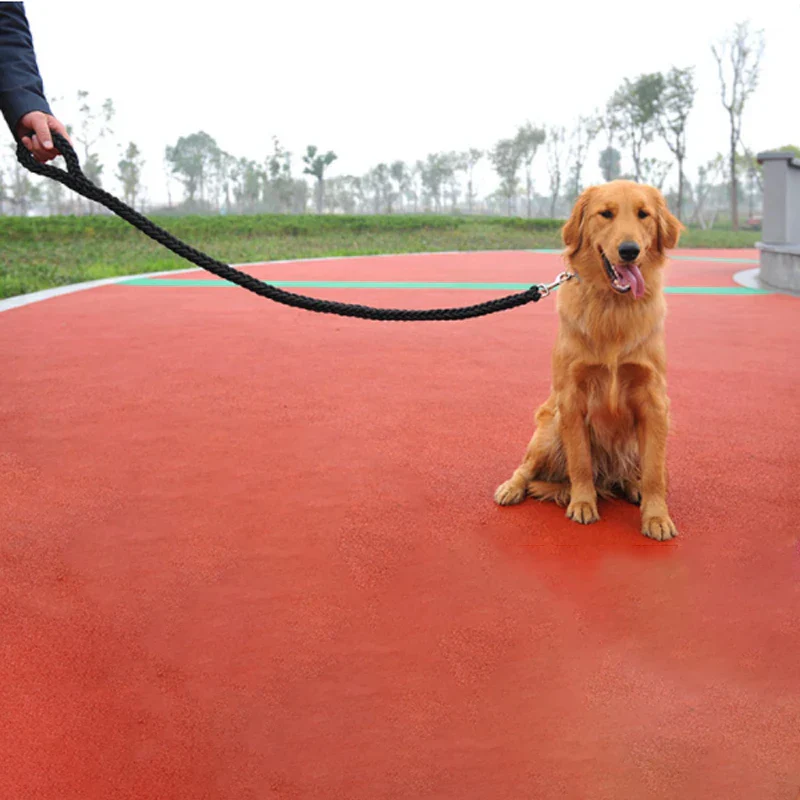 Duurzame Gevlochten Nylon Hondenlijn | Veilige Gesp | Meerdere Kleuren en Maten | Sterke Grip | Voor Middelgrote en Grote Honden - Image 5