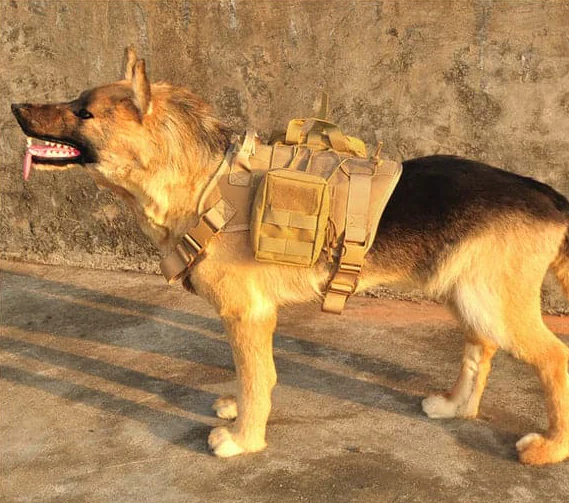 Tactisch Hondentuig met Zakken en Riem voor Training en Buitengebruik - Image 2