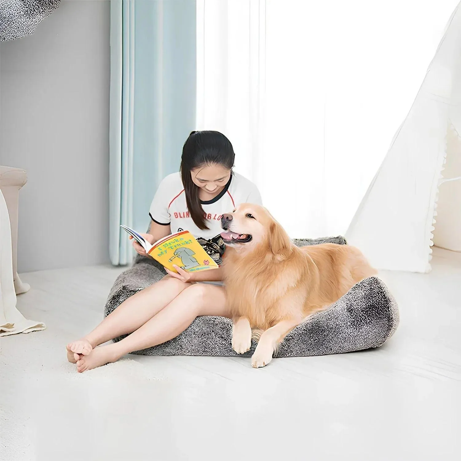TailHaven Huisdierenbank | Elegante Hondenbank met Luxe Afwerking - Image 2