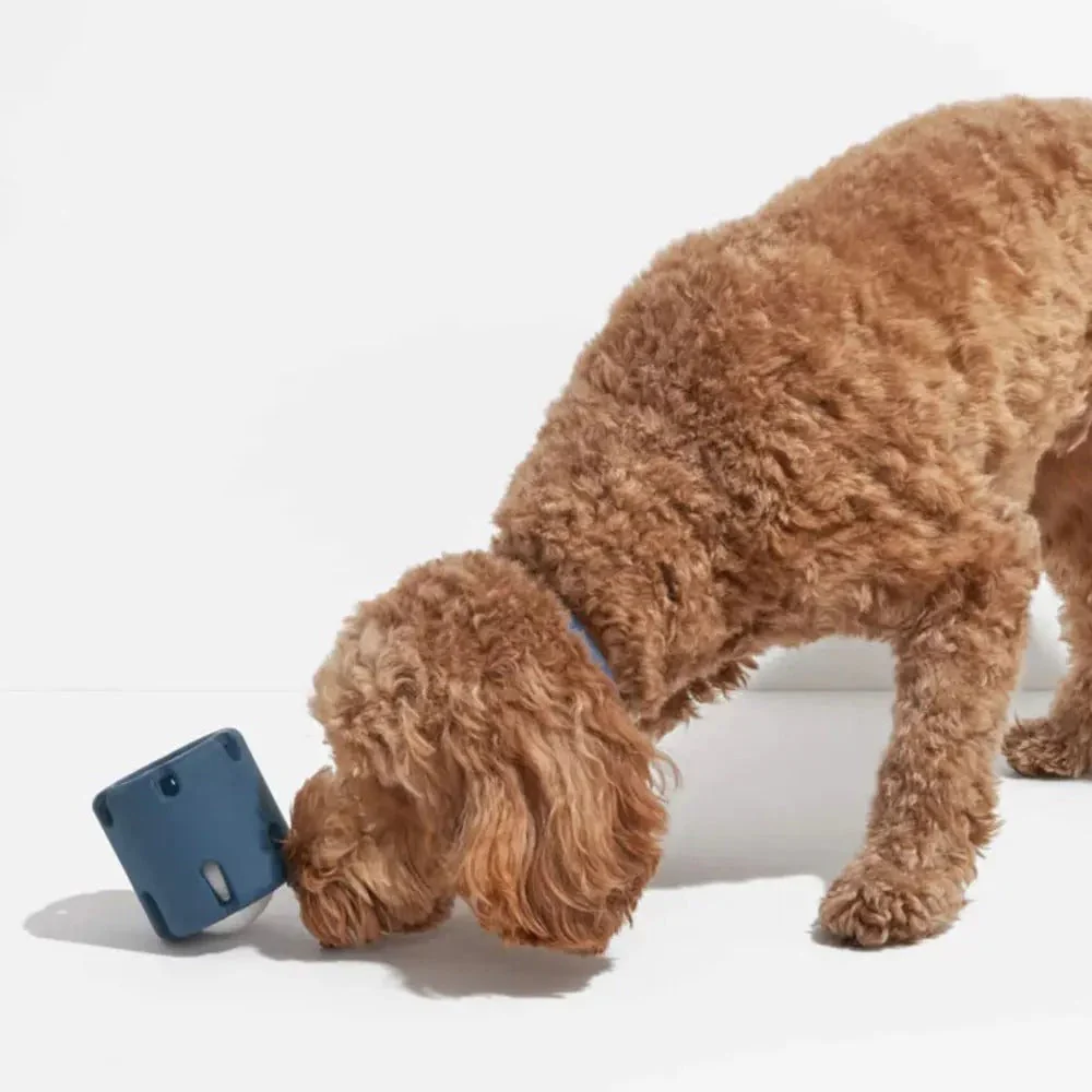 Interactief Apporteer & Kauwspeeltje voor Honden | Duurzaam & Kauwbestendig | Inclusief Tennisbalhouder | Huisdiervriendelijk & Niet-Giftig | Mentale & Fysieke Stimulatie - Image 5