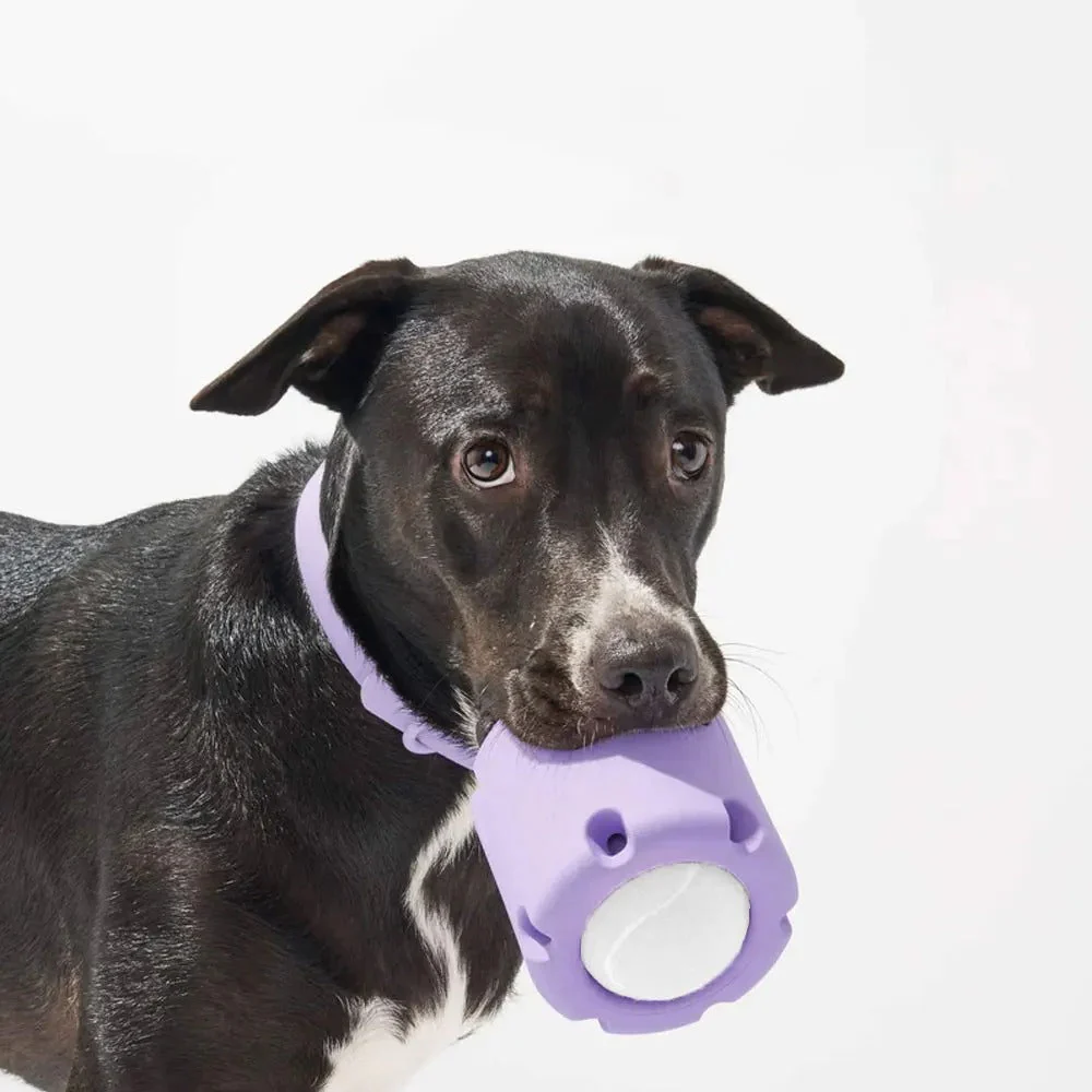 Interactief Apporteer & Kauwspeeltje voor Honden | Duurzaam & Kauwbestendig | Inclusief Tennisbalhouder | Huisdiervriendelijk & Niet-Giftig | Mentale & Fysieke Stimulatie - Image 6