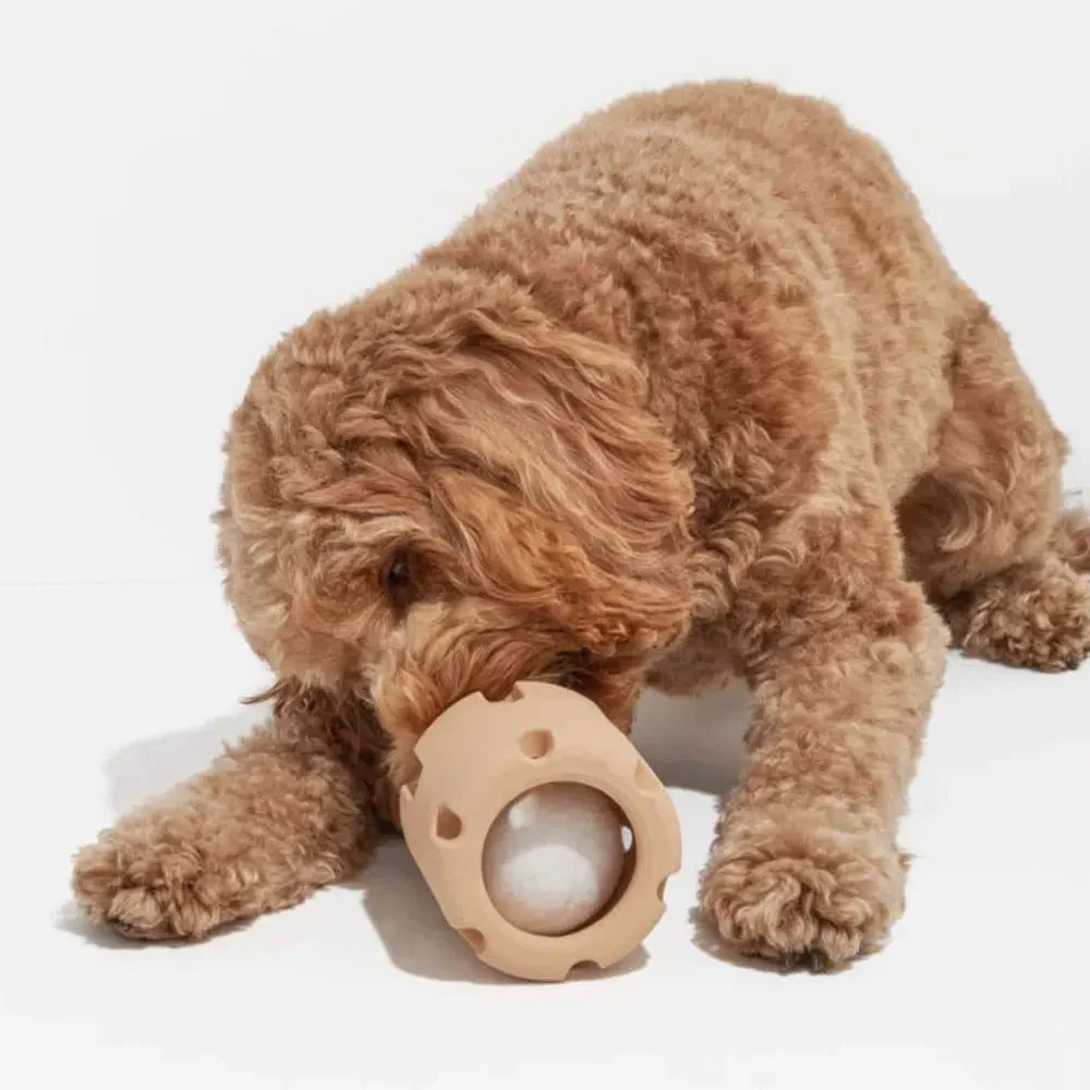 Interactief Apporteer & Kauwspeeltje voor Honden | Duurzaam & Kauwbestendig | Inclusief Tennisbalhouder | Huisdiervriendelijk & Niet-Giftig | Mentale & Fysieke Stimulatie - Image 7