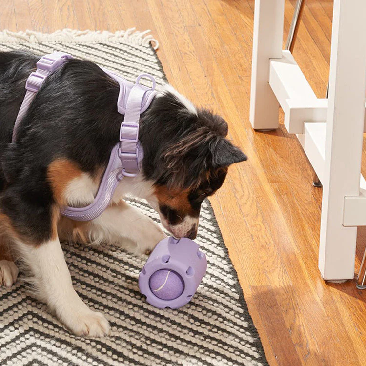 Interactief Honden Speelgoed | Duurzame Natuurrubber Bal | Perfect Voor Pupontwikkeling | Inclusief Tennisbal | Grootte Geschikt Voor Binnen En Buiten Gebruik - Image 2