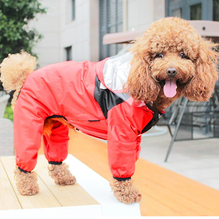 Waterdichte Regenjas voor Honden | Beschikbaar in XS-4XL | Kleuren Groen, Roze en Rood | Ideaal voor Chihuahua, Yorkie en Poedel - Image 9