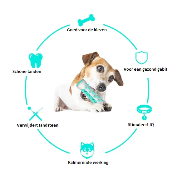 Interactieve Traktatie Speelrol Hond | Duurzaam Rubber | Verrijkend Speelgoed Tegen Verveling | Tandenreinigend | 20 cm | Geschikt voor Alle Rassen - Image 6