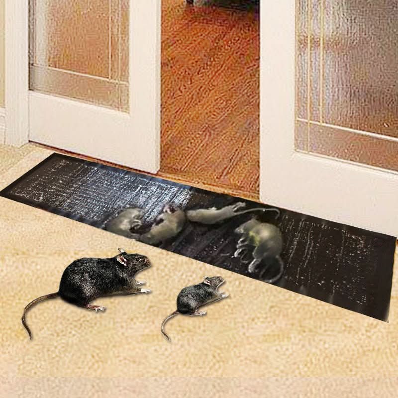 TRAPZONE MAX | Grote Ongiftige Lijmval | Effectief Tegen Knaagdieren Insecten | Binnen Buiten Gebruik | Milieuvriendelijk | Veleneropvang | Dierveilig | Duurzaam Design | Eenvoudig in Gebruik | 10 Stuks - Image 2