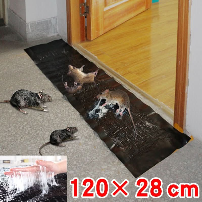 TRAPZONE MAX | Grote Ongiftige Lijmval | Effectief Tegen Knaagdieren Insecten | Binnen Buiten Gebruik | Milieuvriendelijk | Veleneropvang | Dierveilig | Duurzaam Design | Eenvoudig in Gebruik | 10 Stuks - Image 6