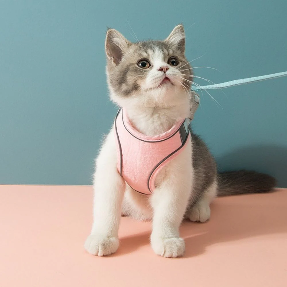 Huisdierentempel™ | Ontsnappingsvrij Katten Tuig met Lijn | Fluweelzacht & Ademend | Comfortabele Pasvorm | Geschikt voor Kittens & Volwassen Katten | Verstelbare Riemen | Veilig Buitenavontuur - Image 11