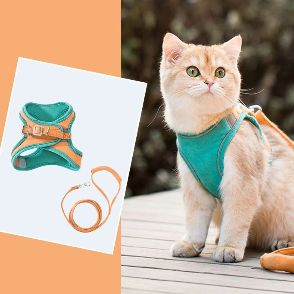 Huisdierentempel™ | Ontsnappingsvrij Katten Tuig met Lijn | Fluweelzacht & Ademend | Comfortabele Pasvorm | Geschikt voor Kittens & Volwassen Katten | Verstelbare Riemen | Veilig Buitenavontuur - Image 14