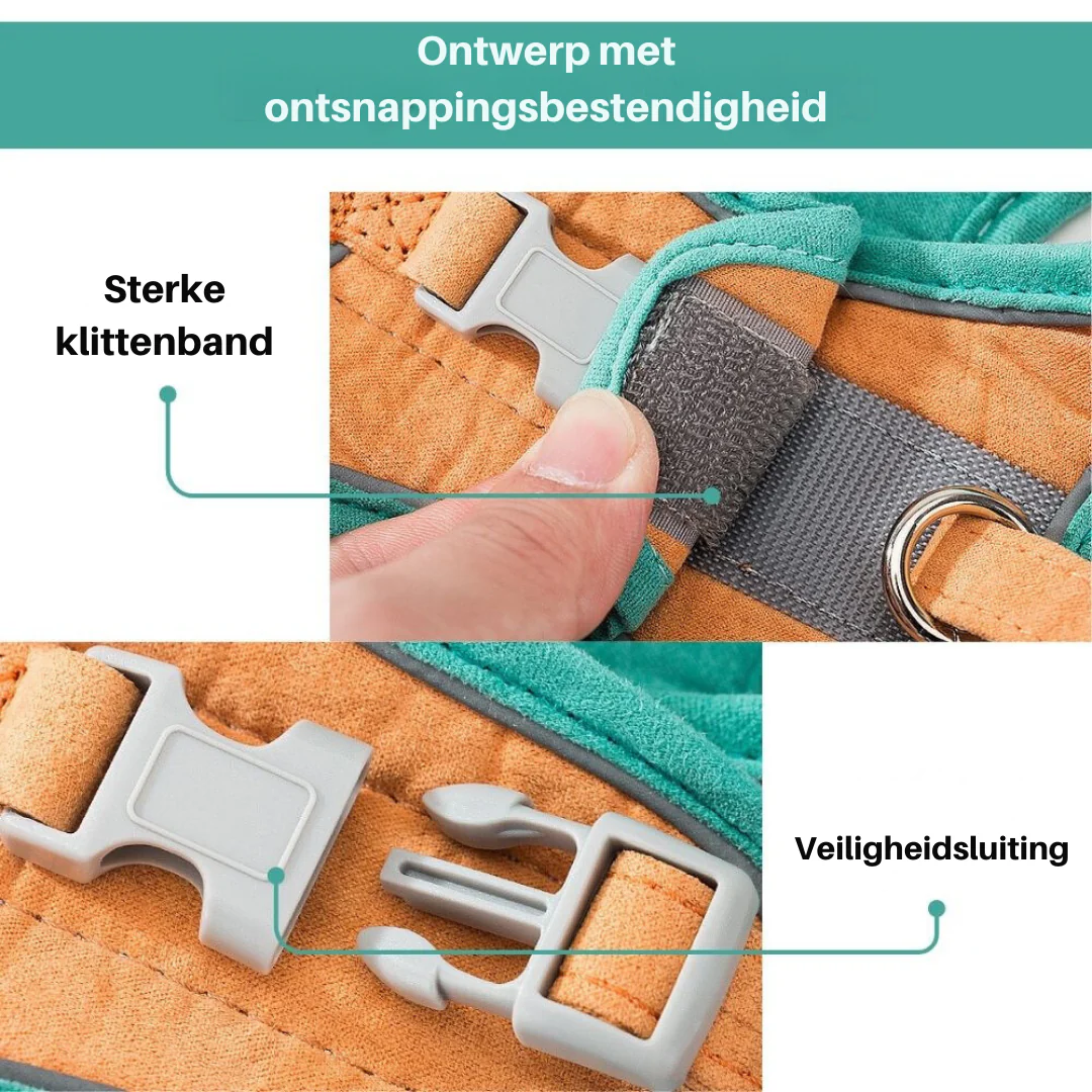 Huisdierentempel™ | Ontsnappingsvrij Katten Tuig met Lijn | Fluweelzacht & Ademend | Comfortabele Pasvorm | Geschikt voor Kittens & Volwassen Katten | Verstelbare Riemen | Veilig Buitenavontuur - Image 3