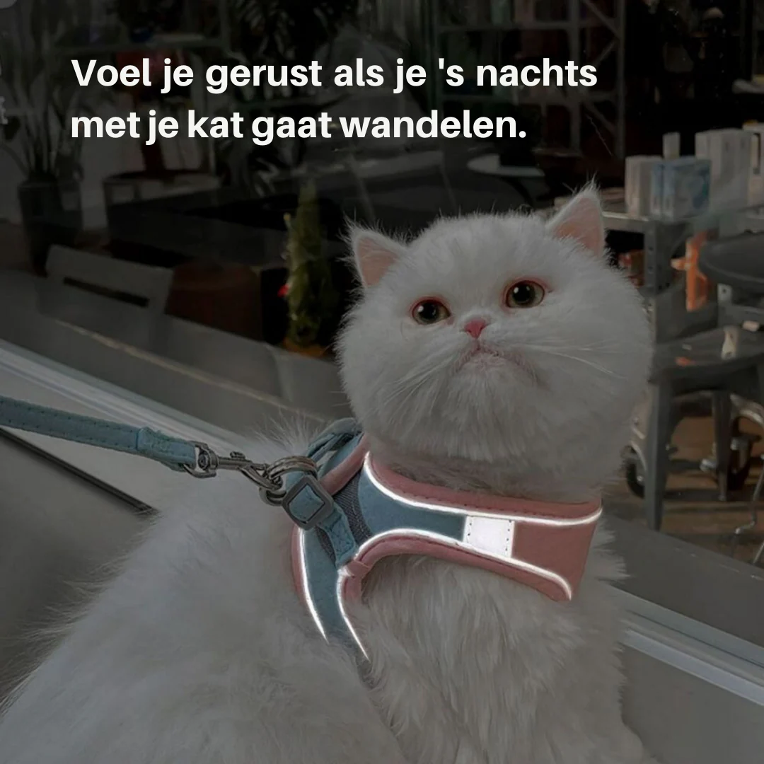 Huisdierentempel™ | Ontsnappingsvrij Katten Tuig met Lijn | Fluweelzacht & Ademend | Comfortabele Pasvorm | Geschikt voor Kittens & Volwassen Katten | Verstelbare Riemen | Veilig Buitenavontuur - Image 6