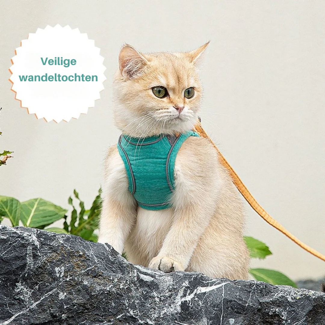 Huisdierentempel™ | Ontsnappingsvrij Katten Tuig met Lijn | Fluweelzacht & Ademend | Comfortabele Pasvorm | Geschikt voor Kittens & Volwassen Katten | Verstelbare Riemen | Veilig Buitenavontuur - Image 8