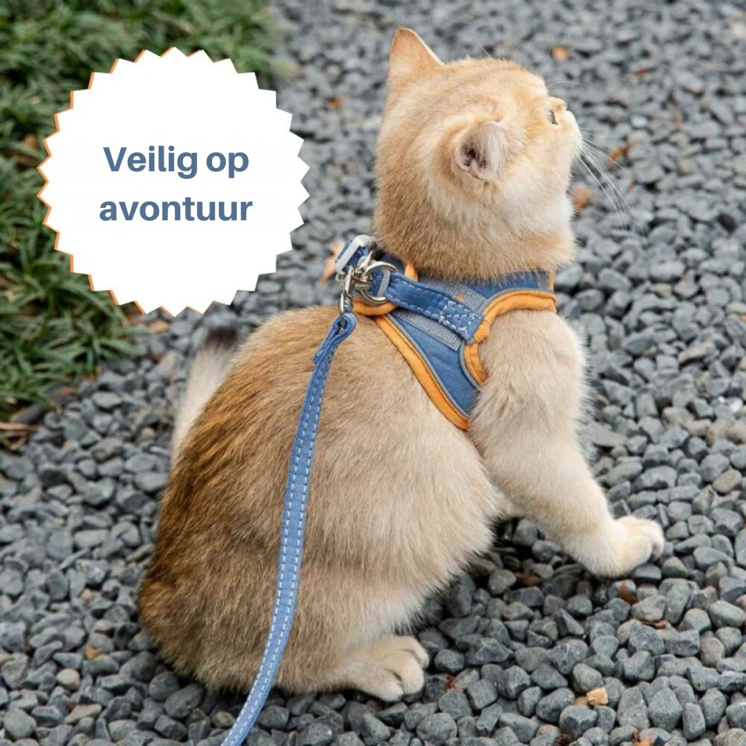 Huisdierentempel™ | Ontsnappingsvrij Katten Tuig met Lijn | Fluweelzacht & Ademend | Comfortabele Pasvorm | Geschikt voor Kittens & Volwassen Katten | Verstelbare Riemen | Veilig Buitenavontuur - Image 9