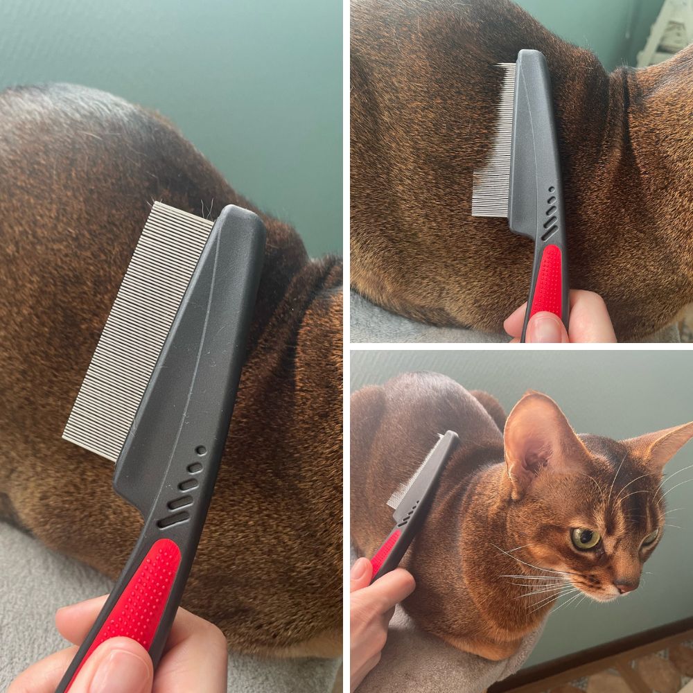 FleaFree™ ProGroomer Kam | Efficiënte Verwijdering van Vlooien en Vuil | Huisdiervriendelijk | Roestvrijstalen Tanden | Gemakkelijk Schoon te Maken | Voor Zachte Verzorging van Huisdieren - Image 2